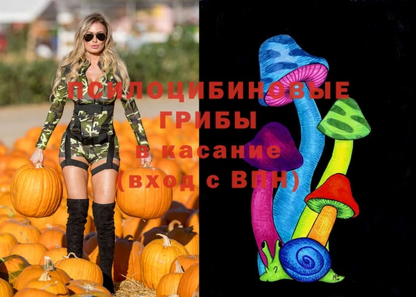 тгк Володарск