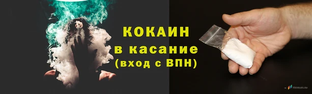 тгк Володарск