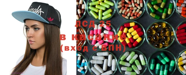 ГАЛЛЮЦИНОГЕННЫЕ ГРИБЫ Волосово