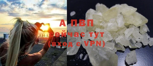 ГАЛЛЮЦИНОГЕННЫЕ ГРИБЫ Волосово